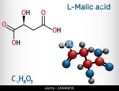 L'acide malique C4H6O5, la molécule est un acide dicarboxylique. Formule chimique structurale et molécule modèle. Vector illustration Illustration de Vecteur