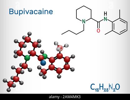 La bupivacaïne, est une molécule de type amide, anesthésique local d'long-action. Formule chimique structurale et molécule modèle. Vector illustration Illustration de Vecteur