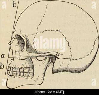 Nouvelle Physionomie ou signes de caract re tel qu il se