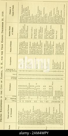 Rapport des recettes et dépenses de la ville de Nashua . Banque D'Images