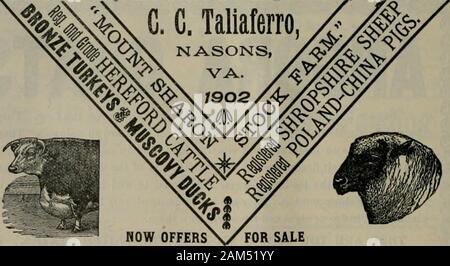 Le Sud le semoir . BACON HALL FARM. Être HEBEFOBD GHTTLE-administrer haut l'élevage, LES VEAUX PAS.DEVISE-Satisfaction ou pas de vente. E, M. GILLET & FILS, Vérone, Balto. Co., au Maryland. SHROFNHIRK LES MOUTONS D'argent, un an et plus, 815 à 820. Buck Lamba, juillet de-livrée, $10. et 812. Brebis, livraison Juillet, 88. et 10. La Pologne et la Chine. PORCS-PlgB, six semaines, 85. Les porcs, deux ou trois mois, 87,60.Les porcs, Ave mois et plus, 815 à 820. M.. TUBKEYS BRONZE-toms, W., 83 poules. Les oeufs, par séance de 12, en saison, 4 $. Les canards de Barbarie.-blanc pur, Drakes 81,25. Les Canards d'un blanc pur, 81. Couples, trios, 82,25 ; Banque D'Images