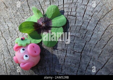 L'image montre un cochon de massepain et un trèfle chanceux Banque D'Images