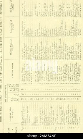 Rapport des recettes et dépenses de la ville de Nashua . Banque D'Images