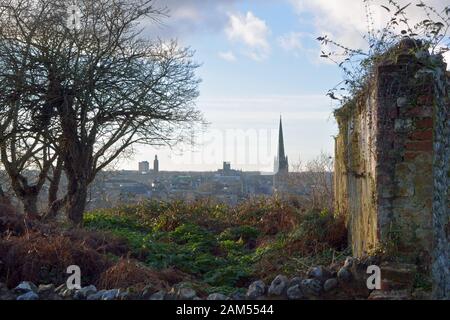 Vestiges de la chapelle Saint-Michel sur les hauteurs de Kett, point de vue fortement boisé sur le point le plus élevé surplombant la ville de Norwich. Banque D'Images