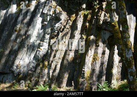 Une falaise de basalte columnaire à Naffine Creek dans la gorge de Columbia, Oregon. La photo a été prise au printemps. Banque D'Images