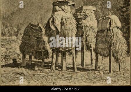 L'espagnol dans le sud-ouest . La Purisima Concepcion Santa Cruz Soledad San Jose San Juan Bautista San Miguel San Fernando San Luis Rey Santa Inez . San Rafael San Francisco Solano de juin i6 ? 1769.Le 3 juin 1770 dans la rivière.1771.Le 14 juillet 1771.Le 8 septembre, 1771 1 septembre, 1772..9 Octobre, 1776. 1 novembre 1776 18 janvier 1777.Le 31 mars, 1782.Le 4 décembre 1786. décembre 1787, 8.août.28, 1791 Le 9 octobre, 1791.Juin.18, 1797.Le 24 juin, T797.Juillet 2^, 1797.Le 8 septembre 1797.Le 13 juin 1798, 17 septembre 1804.Le 18 décembre, 1817.août.25, 1823. Situé à Sonoma. IV. Chapitre XVIII DE LA CALIFORNIE ESPAGNOLE DANS LA VIE Banque D'Images
