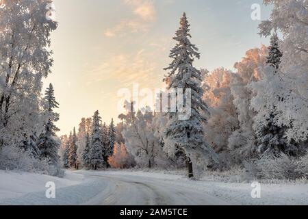 Le coucher du soleil illumine les arbres couverts de givre qui bordent la route enneigée dans le centre-sud de l'Alaska. Banque D'Images