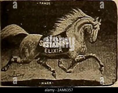 Source et sportsman . y Ex tonipse (pur-sang). Le deuxième barrage de McKinney était Rose Kenney idam de Messenger Ch 1, Sire de ofeen 2:30), par Mambrino liste Messenger, l'un des plus grands-produites Messenger clous dans le registre. Thirdl J. I. Kenney mare, barrage du général O. H. Thomas d'islre 7 en 2:30), par Mambrino Chef 11. Quatrième damle Bryan mare, par imp. Pur-sang (Napoléon). Cinquième barrage par pur-sang (Tempest).Mchl.WliV, 2-11 1-4, mesure 15,2 mains, pèse 1140^,et c'est un ol la plus parfaite, chevaux à l'Amer-]( ayant beaucoup d'os et de la substance. Il a commencé à vingt-huit courses et gagné Banque D'Images