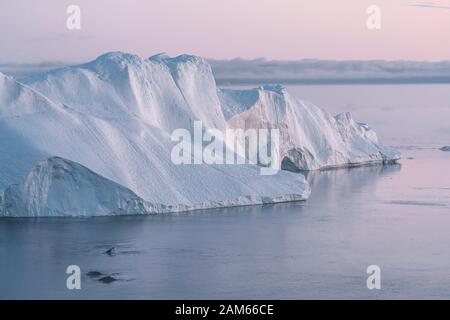 3 baleines à bosse près de plongée parmi les icebergs d'Ilulissat pendant rose soleil de minuit. Lever et coucher du soleil. Leur source est par le glacier Jakobshavn. L Banque D'Images