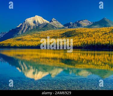 Le mélèze dans la couleur de l'automne et les pics au-dessus du lac bowman dans le Glacier National Park, Montana Banque D'Images