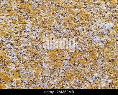 Fond d'écran liquide avec texture gaufrée. Papier peint en cellulose jaune avec éléments décoratifs. Un type de revêtement populaire pour les murs et les plafonds. Banque D'Images