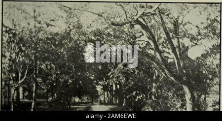 L'Université de Caroline du Nord en GerrardHall record .. La participation est nécessaire. Chaque mois, également, un sermon prononcé par l'undes Univer-sité de prédicateurs.Il y a d'specialcourses theEnglish in-struction dans onBible,Bible et histoire conférences livrées chaque dimanche matin de bas de JH dans Gerrard Hall. ^ ^  ^ ^jj ne oun& Mens Christian Asso-ciation se réunit quatre fois par semaine, effectue un certain nombre d'systematiccourses pour l'étude de la Bible et de missions, et aide les inSunday travail scolaire en la ville et comté. Discipline l'Université s'efforce de rendre les jeunes hommes manly et autonomes, une Banque D'Images