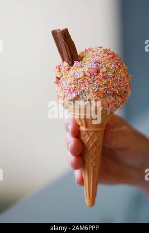 Les saupoules et les flocons multicolores font partie des fanouites de la boutique de crème glacée Grahams de Dromore, le mardi 16 juillet 2019. (Photo de Paul McErlane) Banque D'Images