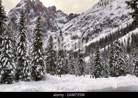 Sesto, Italie - Maison de vacances à pied sur la neige dans le beau paysage de la vallée de Fiscalina en hiver entouré de magnifiques montagnes et forêts sauvages Banque D'Images