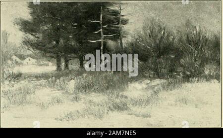 La composition picturale et le jugement critique de photos ; un guide pour les étudiants et des amateurs de l'art . Salut à l'DetaillcBalance-blessés des mesures égales. Pines en hiver Unbalance Banque D'Images