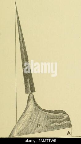 Les ordonnances et instructions pour le traitement de la maladie des pieds et les jambes du cheval . Fig. 83. coffin bone, même défaut. LAMEXESS SUIS) maladies, etc. oo. Banque D'Images