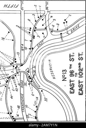 Arbres et arbustes de Central Park . ^^^ HliJON ? k. Explications, la carte No 13 6.7- 8. 9-lo.II. 12. 13- 14. Est- 16. 17-18.19. 21.22. 23- 24. 25- 26,27. 28. Nom commun Le miel sauterelle. L'érable sycomore. Horsechestnut commun. Rivière Rouge, bouleau bouleau bouleau noir. L'SilverLinden en pleurs. Érable de Norvège. Américain ou GrayBirch. L'Érable à sucre ou de la roche. Ou l'Orme d'Amérique. Platane d'Orient. Copper Beech. Micocoulier, arbre d'Ortie,Sugarberry. Cherry en cornaline. Américain, Basse-bois, arbre d'abeilles. Liquidambar ou Bilsted. Les préfets Spirsea. Pignut Hickory. Aîné d'Europe. Ramanas JapanRose, Rose. O Mockemut Banque D'Images