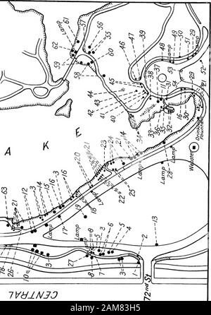 Arbres et arbustes de Central Park . Explications IVdlNJO, site no 8 Nom commun. 1. Les préfets Spirsea. 2. Le chèvrefeuille de Tartarie. 3. Le miel sauterelle. 4. Arbre de Judée ou Redbud. 5. English l'aubépine. 6. L'argent ou blanc. 7. Washington Thorn. 8. Micocoulier, arbre généalogique, l'ortie Sugarberry. 9. Le séneçon arbre. 10. Ou Cottonwood peuplier de Caroline. 11. L'érable rouge. 12. Cognassier du Japon. 13. Hêtre européen. 14. Arbre européen ou l'Aulne. 15. Cornouiller fleuri. 16. Osage Orange. 17. Érable de Norvège. 18. Koelreuteria vernis ou arbre. 19. Criquet commun. 20. Fringe Tree. 21. Le cyprès chauve. 22. Sumac ou trèfle arbustif. 23. Politique Banque D'Images