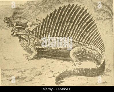 La nature . andSweden inAmerica, en Écosse, ont survécu à tous les changements de l'Ancien Monde ofland et la mer, le roi des crabes-foundliving encore en cours dans la Chine andIndian mers et sur le Nord de la côte est l'Amei ii une havespread,et les scorpions sur la di nord et vof SouthAmerica, d'Afrique et d'othercountries, et sont tellement littlechanged appearani ewhole dans otheranimals appearedand de générations ayant totalement disparu, nous pourrions almostimagine ils iraient onfor jamais ! Bien qu'il serait impossible pour bequite theauthor ou quiconque todescribe si vaste un certain nombre de groupes d'organismes vivant andextinct Banque D'Images