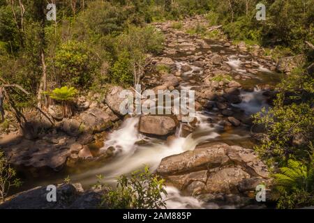 Ruisseau de montagne vierge en Australie Parc National alpin. L'eau courante, à forte densité de végétation verte. Paysage non brûlés avant 2020 les feux de brousse. Banque D'Images