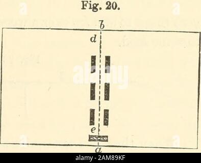 Fourmis, abeilles et guêpes : un enregistrement d'observations sur les habitudes de l'hyménoptères sociale . puis tordus comme illustré sur la Fig. 19. Les briques et le tunnelaing ont également été réarrangés de sorte qu'ils étaient exactement dans la direction du théame comme auparavant, mais le conseil a été déplacé, la ligne d e était maintenant à l'extérieur d'eux. Ce changement, cependant, n'a pas du tout discom-poser les fourmis; au lieu d'aller, avant, à travers le theetunnel et beweenles rangées de bricksto a, ils walkedexactement le long de la voie de e. Je suis alors arrangedsujets comme avant, mais sans le tunnel et avec seulement trois paires de briques (Fig. 20). WTien an ant était parti Banque D'Images