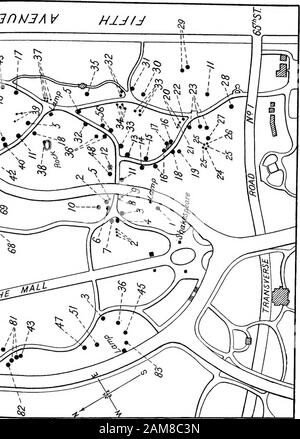 Arbres et arbustes du parc central . Explications, Carte N° 3 3- $• 6. 1-8. 9-lo.II 12. 13-14-IS- i6.17- i8.19. 20.21.22. 23-24. 25-26.27.28.29.3°-31-32- Nom Commun Vince Du Japon (Pale Pinkflowers. Hackberry, Sugarberry Ou Nettle Tree. Elm. Anglais Spicebush. Osage Orange. Arbre De Frange. Judas Tree Ou Redbud. Wistaria Chinois. Orange Factice. Anglais Hawthorn. Érable Sycamore. Criquet Commun. Pruche. Une Lune De Miel Parfumée. Shadbush, June Berry, Orservice Berry. Gum Sucré Ou Bilsted. Shellback ou ShagbarkHickory. Hornbeam Américain. Pignut Hick-ory à petits fruits. Yew Japonais À Feuilles Abruptes. Européen ou Engl Banque D'Images