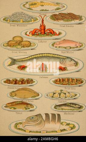 Le livre de recettes et de cuisine de tous les jours : contenant plus de deux mille recettes pratiques pour la cuisson de chaque type de viande, poisson, volaille, gibier, soupes, bouillons, légumes et salades : aussi pour faire toutes sortes de pains simples et fantaisie, pâtisseries, poudings, gâteaux, crèmes, glaces, gelées, conserves, marmelades, etc., avec diverses recettes diverses pour la préparation de nourriture et l'attention aux invalides, tous soigneusement préparés et testés . sauce omato, est très délicieux. CÔTELETTES DE SAUMON. Coupez les tranches d'un pouce d'épaisseur, et assaisonnez-les avec du pep-PER et du sel; beurre une feuille de pap blanc Banque D'Images