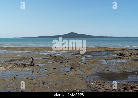 Un homme traverse des rochers à marée basse entre la plage de Kohimarama et la plage de St Heliers à Auckland, Nouvelle-Zélande, Rangitoto Island ciel bleu jour d'été Banque D'Images