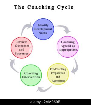 Cinq composantes du cycle de coaching Banque D'Images