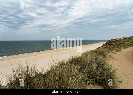 Sylt - vue panoramique sur Grass-Dunes avec vue sur la mer du Nord à Kampen Cliff / Allemagne Banque D'Images