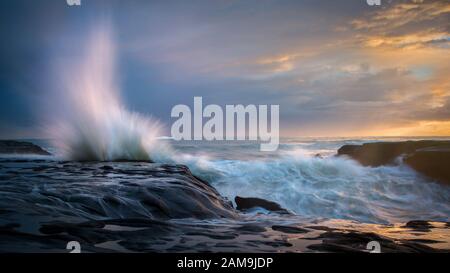 Vagues éclaboulantes sur la plage de Muriwai, Waitakere, ouest d'Auckland Nouvelle-Zélande Banque D'Images