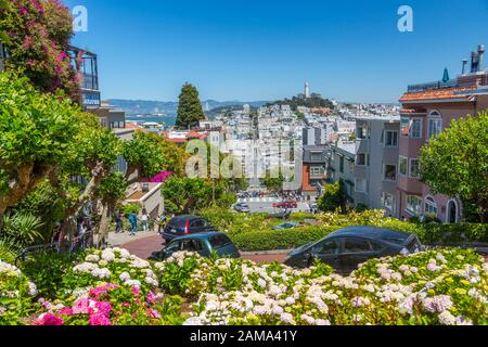 Vue des voitures sur Lombard Street et Coit Tower en arrière-plan, San Francisco, Californie, États-Unis d'Amérique, Amérique du Nord Banque D'Images