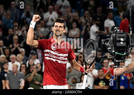 Sydney, Australie. 12 janvier 2020. 12 janvier 2020; Sydney Olympic Park tennis Centre, Sydney, Nouvelle-Galles du Sud, Australie; ATP Cup Australia, Sydney, jour 10; Serbie contre Espagne; Novak Djokovic de Serbie contre Rafael Nadal d'Espagne; Novak Djokovic de Serbie célèbre après avoir vaincu Rafael Nadal d'Espagne - usage éditorial crédit: Action Plus Sports Images/Alay Live News Banque D'Images