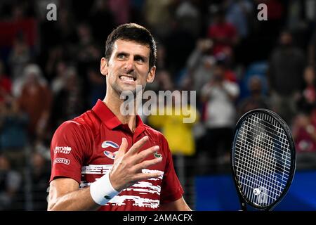 Sydney, Australie. 12 janvier 2020. 12 janvier 2020; Sydney Olympic Park tennis Centre, Sydney, Nouvelle-Galles du Sud, Australie; ATP Cup Australia, Sydney, jour 10; Serbie contre Espagne; Novak Djokovic de Serbie contre Rafael Nadal d'Espagne; Novak Djokovic de Serbie célèbre après avoir vaincu Rafael Nadal d'Espagne - usage éditorial crédit: Action Plus Sports Images/Alay Live News Banque D'Images