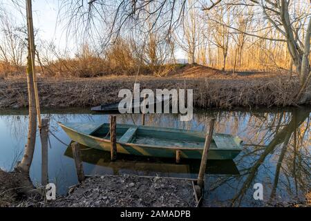 Bateaux en bois typiques de la zone humide connue sous le nom de Padoue di Fucecchio, Porto delle Morette, Toscane, Italie Banque D'Images