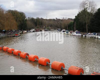 Maidstone, Kent, Royaume-Uni. 12 janvier 2020. Royaume-Uni Météo : une journée bien remplie au bord de la rivière à Maidstone, dans le Kent. Crédit: James Bell/Alay Live News Banque D'Images