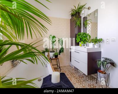 Petite salle de bains carrelée avec baignoire et plusieurs plantes en pot vert telles que palmier et crêpe créant une atmosphère urbaine de jungle Banque D'Images