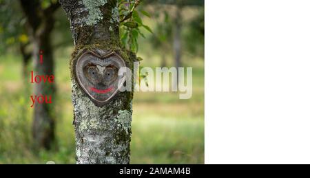 Je t'aime carte adaptée pour la Saint Valentin, anniversaire de mariage, excuses, déclaration d'amour, proposition. Un magnifique tronc arborescent en forme de coeur f Banque D'Images