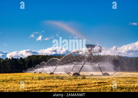 Arroseurs géants d'eau d'irrigation sur les pâturages près d'Ashburton, Nouvelle-Zélande Banque D'Images