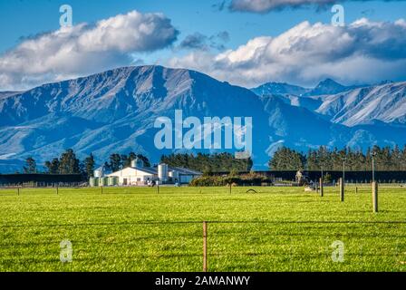 Farmstead, Canterbury Plains, Ashburton, Nouvelle-Zélande Banque D'Images