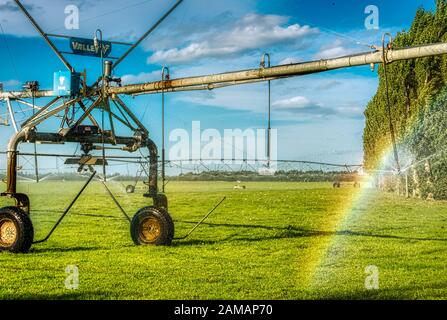 Arroseurs géants d'eau d'irrigation sur les pâturages près d'Ashburton, Nouvelle-Zélande Banque D'Images