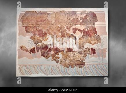 Fresque d'art du mur Minoan de la salle du trône de Knossos, 1450-1300 av. J.-C. Musée Archéologique D'Héraklion. Arrière-Plan Gris. Cette fresque Minoan dépeint Banque D'Images