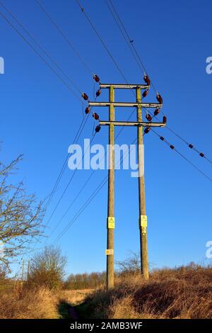 Lignes électriques aériennes sur les mâts en bois Banque D'Images