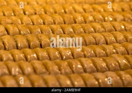 Baklava (dessert moderne de style arabe du Moyen-Orient) cuit au sucre et au sirop de miel, sucré et farci d'amandes, de noix, de chocolat ou de pistaches. Banque D'Images