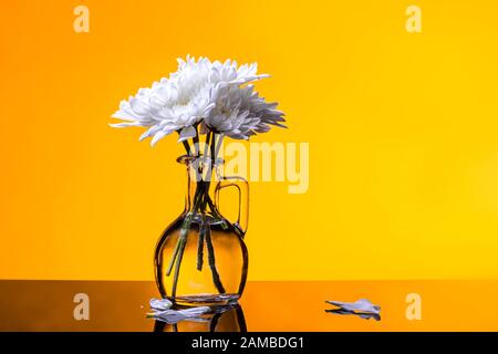 Fleurs blanches bouquet minimal dans vase en verre sur fond jaune doré Banque D'Images