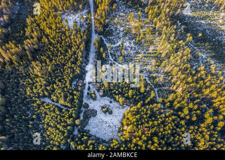 Cerne jezero, dans la forêt de Bohême, est le lac naturel le plus grand et le plus profond de la République tchèque. Ce lac triangulaire entouré de forêt d'épinettes Banque D'Images