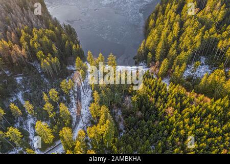 Cerne jezero, dans la forêt de Bohême, est le lac naturel le plus grand et le plus profond de la République tchèque. Ce lac triangulaire entouré de forêt d'épinettes Banque D'Images