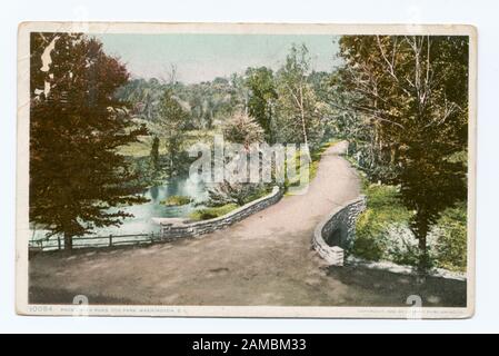 Rock Creek Road, Zoo Park, Washington, D C Numéro de série de la carte postale : 10084 première apparition du nom commercial « Phostint ».; Rock Creek Road, Zoo Park, Washington, D. C. Banque D'Images