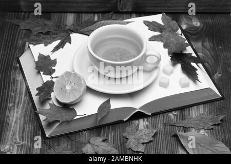 Boisson chaude avec des cubes de sucre placés sur un livre ouvert sur fond de bois. Thé anglais et lecture du concept du soir. Tasse de thé vert avec une tranche de citron. Tasse à thé sur des pages de livre vierges et des feuilles. Banque D'Images