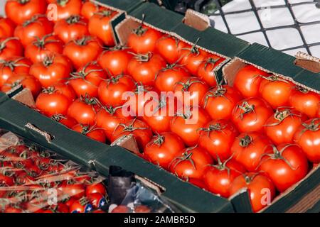 Beaucoup de tomates dans des boîtes. De belles tomates rouges en vente Banque D'Images